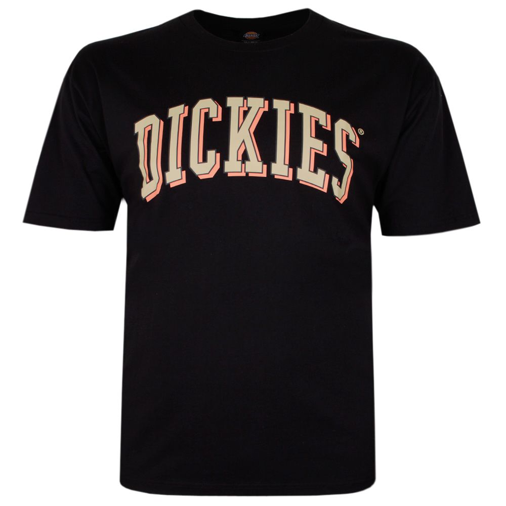 DICKIES BLOCKED LONGVIEW T-SHIRT